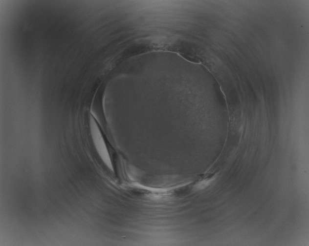 X0000073890137200608251441