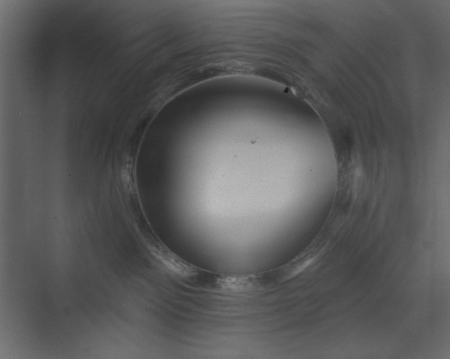 X0000073890141200608251441