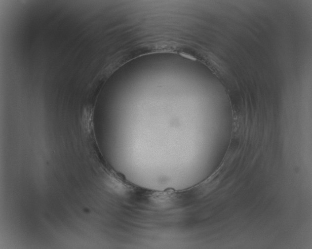 X0000073890142200608251441