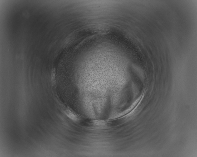 X0000073890144200608251441