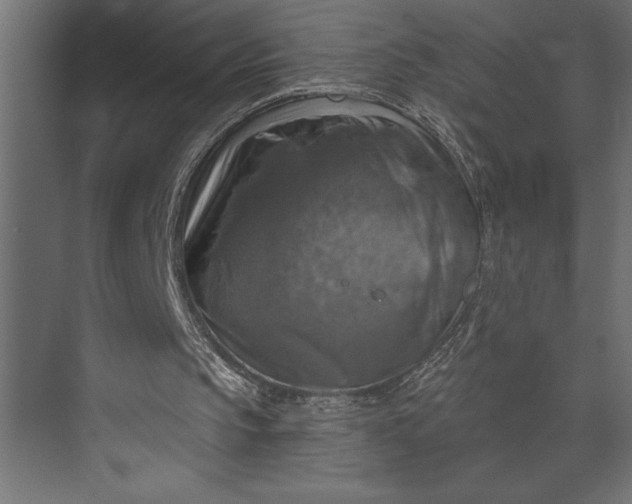 X0000073890145200608251440