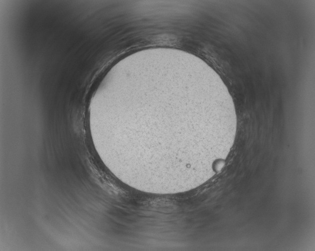 X0000073890146200608251440