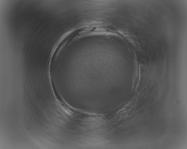 X0000073890147200608251440