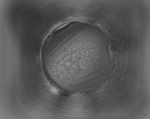 X0000073890148200608251440