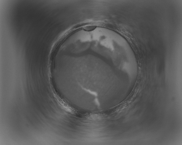 X0000073890149200608251440