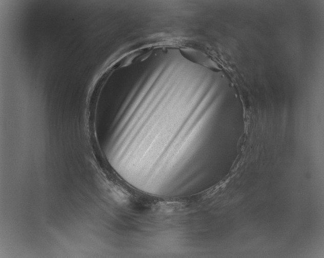 X0000073890150200608251440