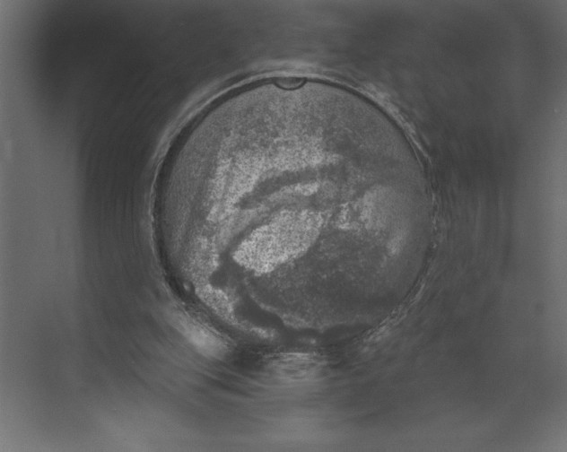 X0000073890151200608251440