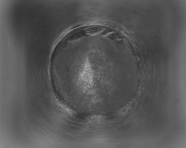 X0000073890152200608251440