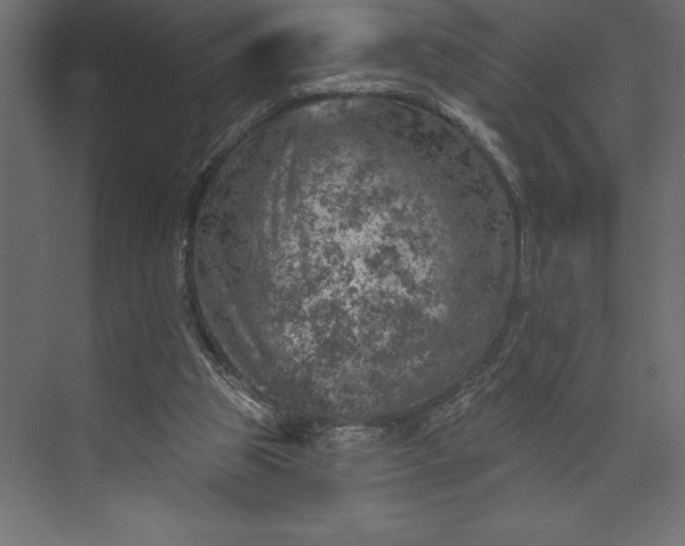 X0000073890153200608251440