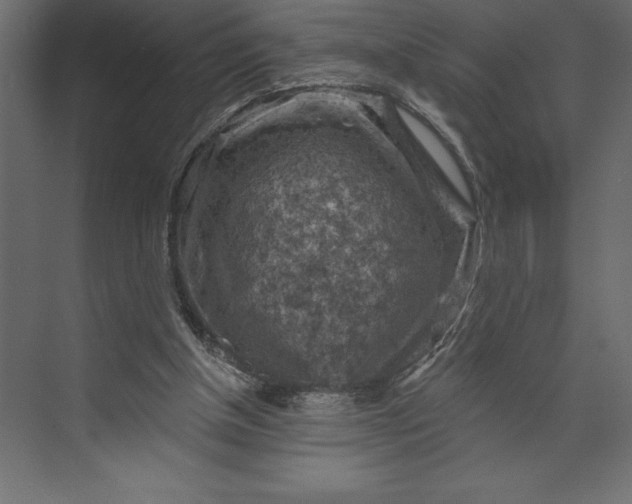 X0000073890154200608251440