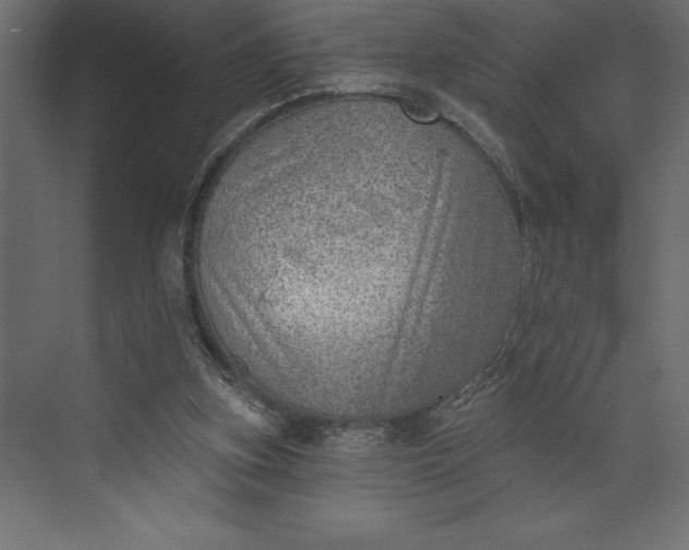 X0000073890155200608251440