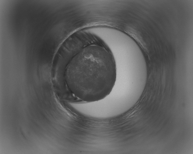 X0000073890156200608251440