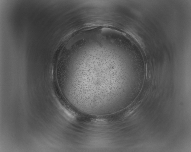 X0000073890157200608251440