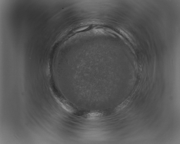 X0000073890158200608251440