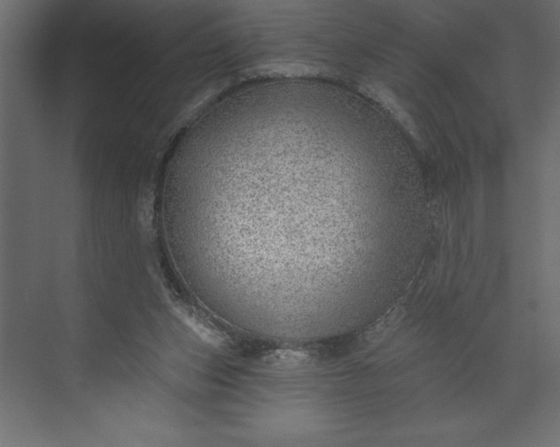 X0000073890159200608251440