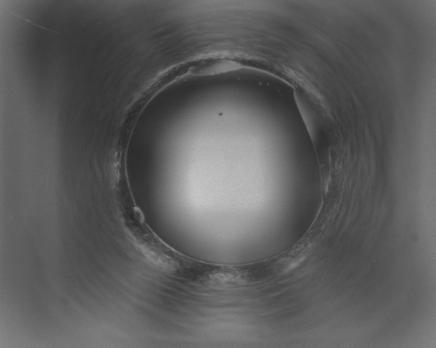 X0000073890160200608251440