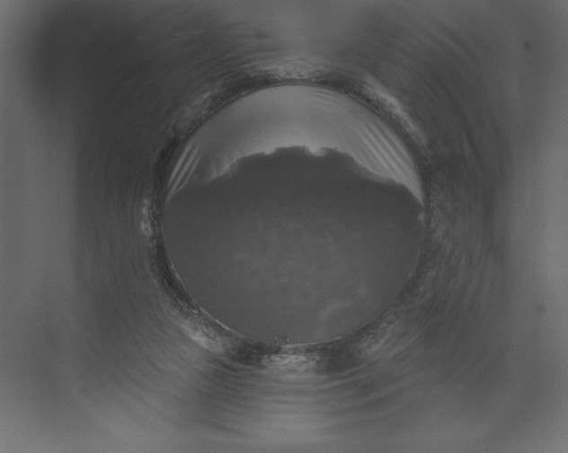 X0000073890161200608251440