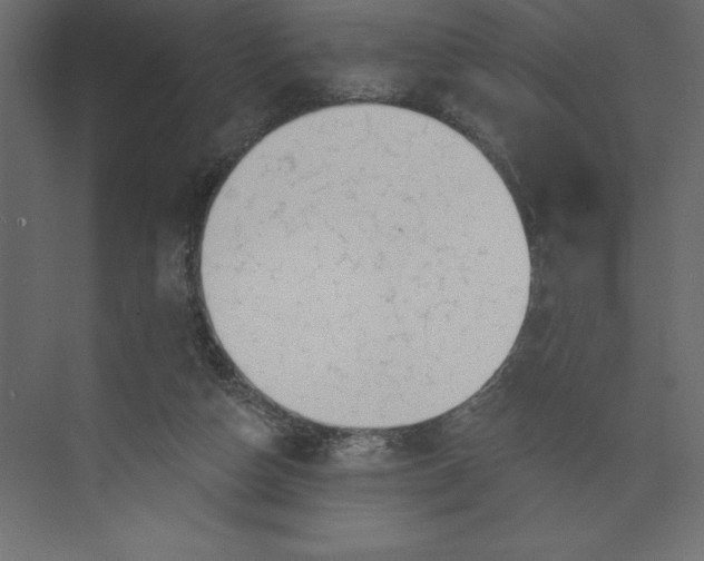 X0000073890162200608251440