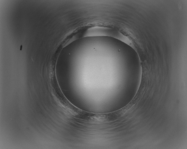 X0000073890164200608251440