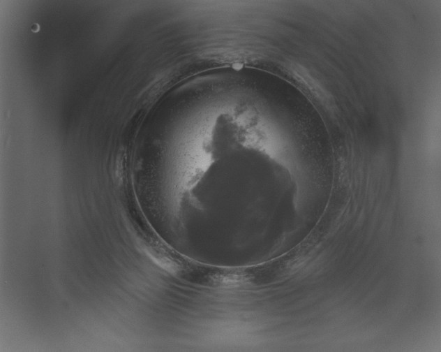 X0000073890165200608251440