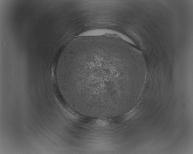 X0000073890166200608251440