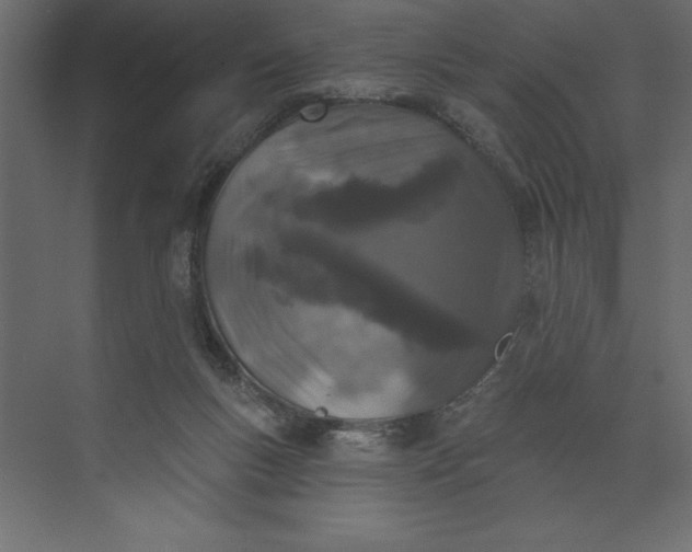 X0000073890167200608251440