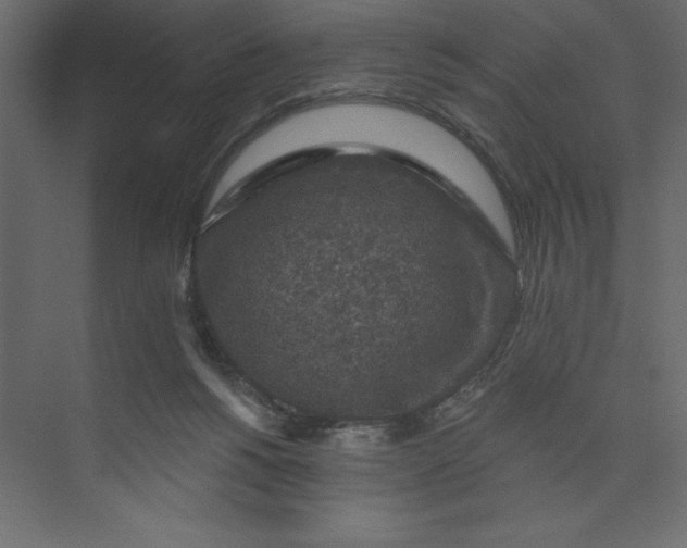 X0000073890168200608251440