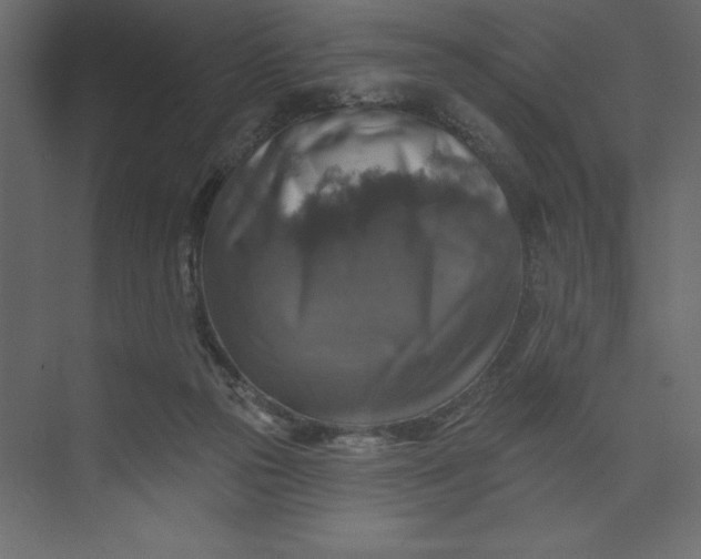 X0000073890169200608251440