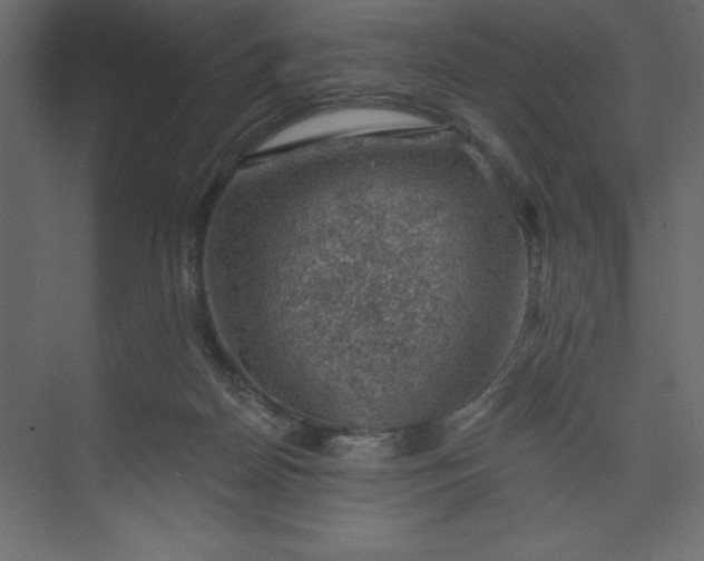 X0000073890170200608251440