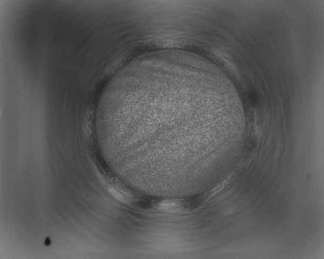 X0000073890171200608251440