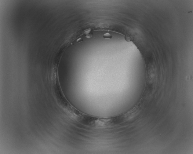 X0000073890172200608251441