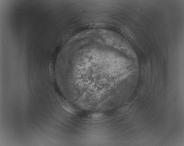 X0000073890173200608251441