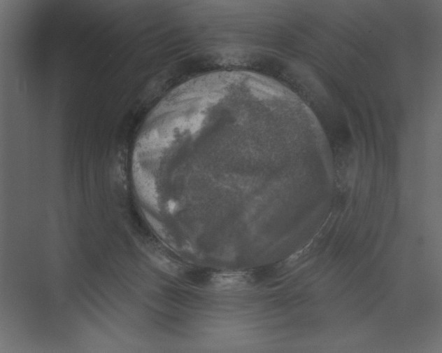 X0000073890175200608251441