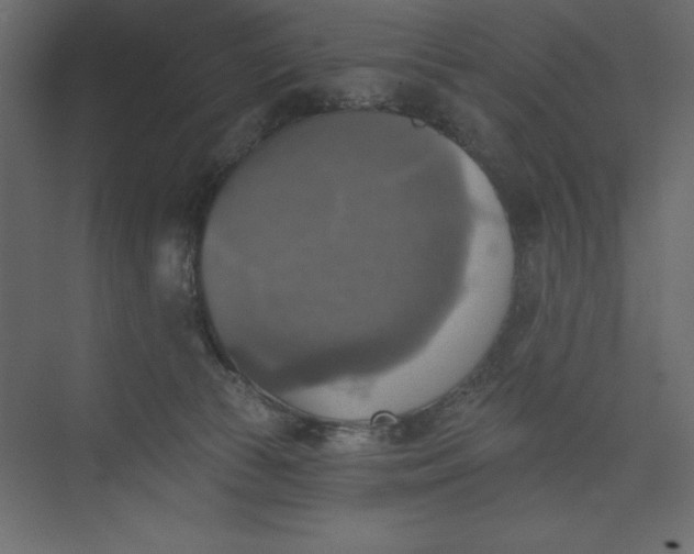 X0000073890177200608251441