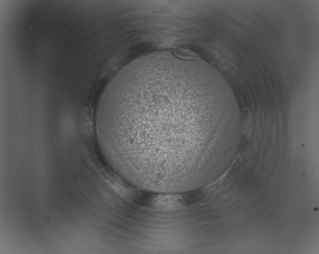 X0000073890179200608251441