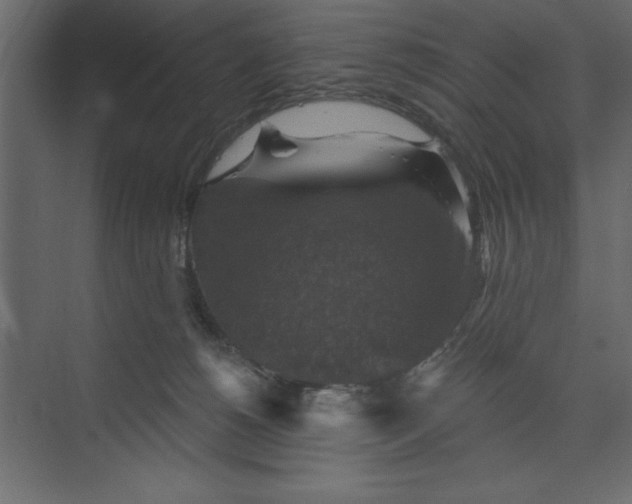 X0000073890180200608251441