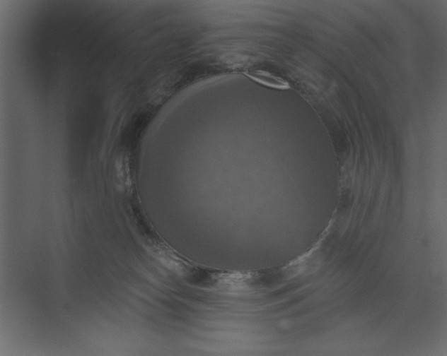 X0000073890182200608251441