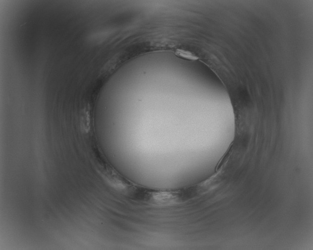 X0000073890183200608251441