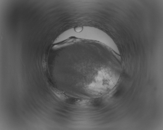 X0000073890186200608251441