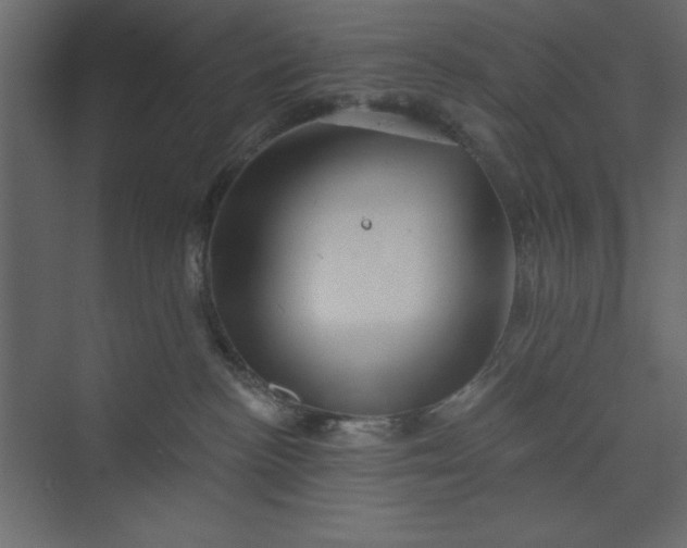 X0000073890188200608251441