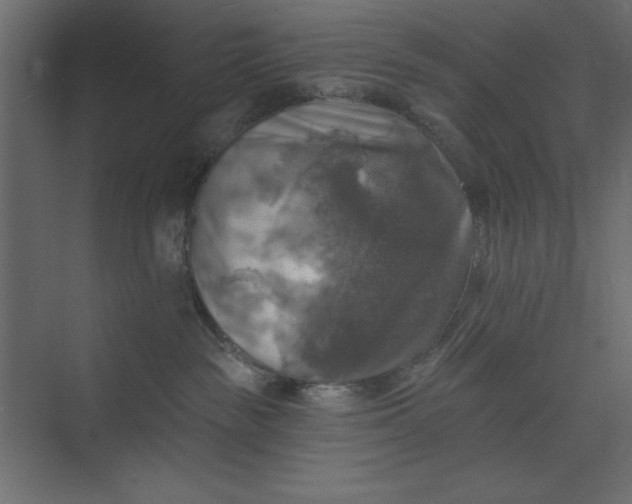 X0000073890189200608251441