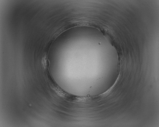 X0000073890190200608251441