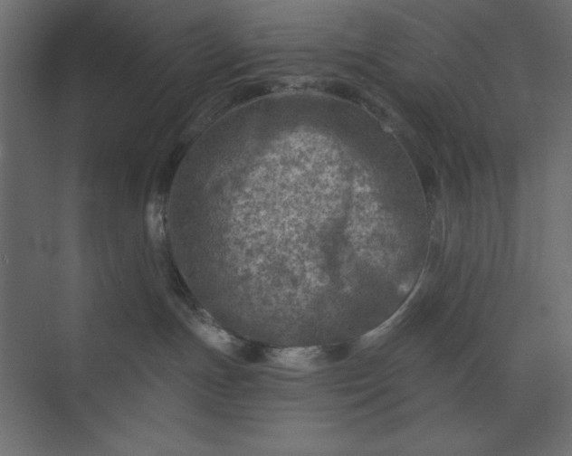 X0000073890191200608251441