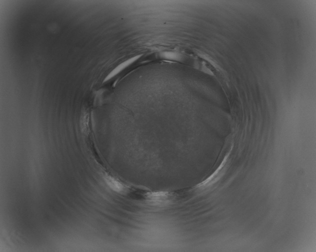 X0000073890192200608251441