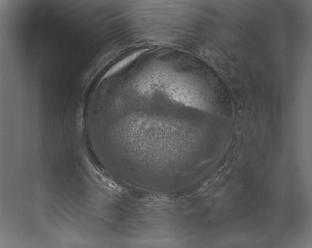 X0000073890194200608251440