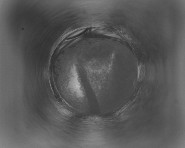 X0000073890195200608251440