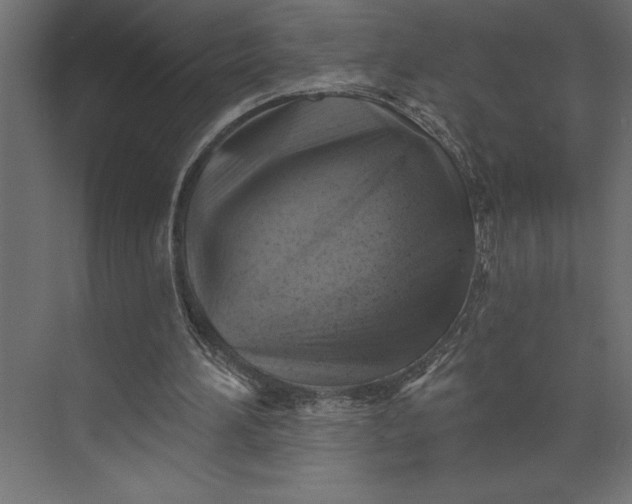 X0000073890196200608251440