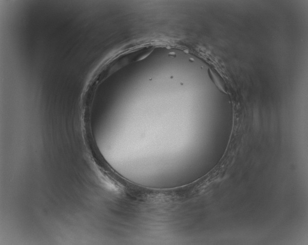 X0000073890197200608251440