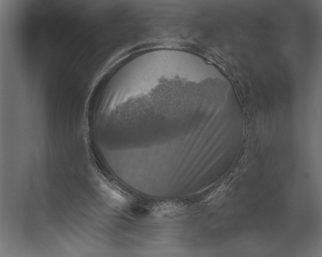 X0000073890198200608251440