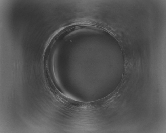 X0000073890200200608251440